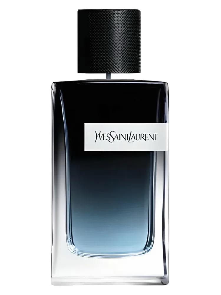 Yves Saint Laurent YSL Y EDP bottle